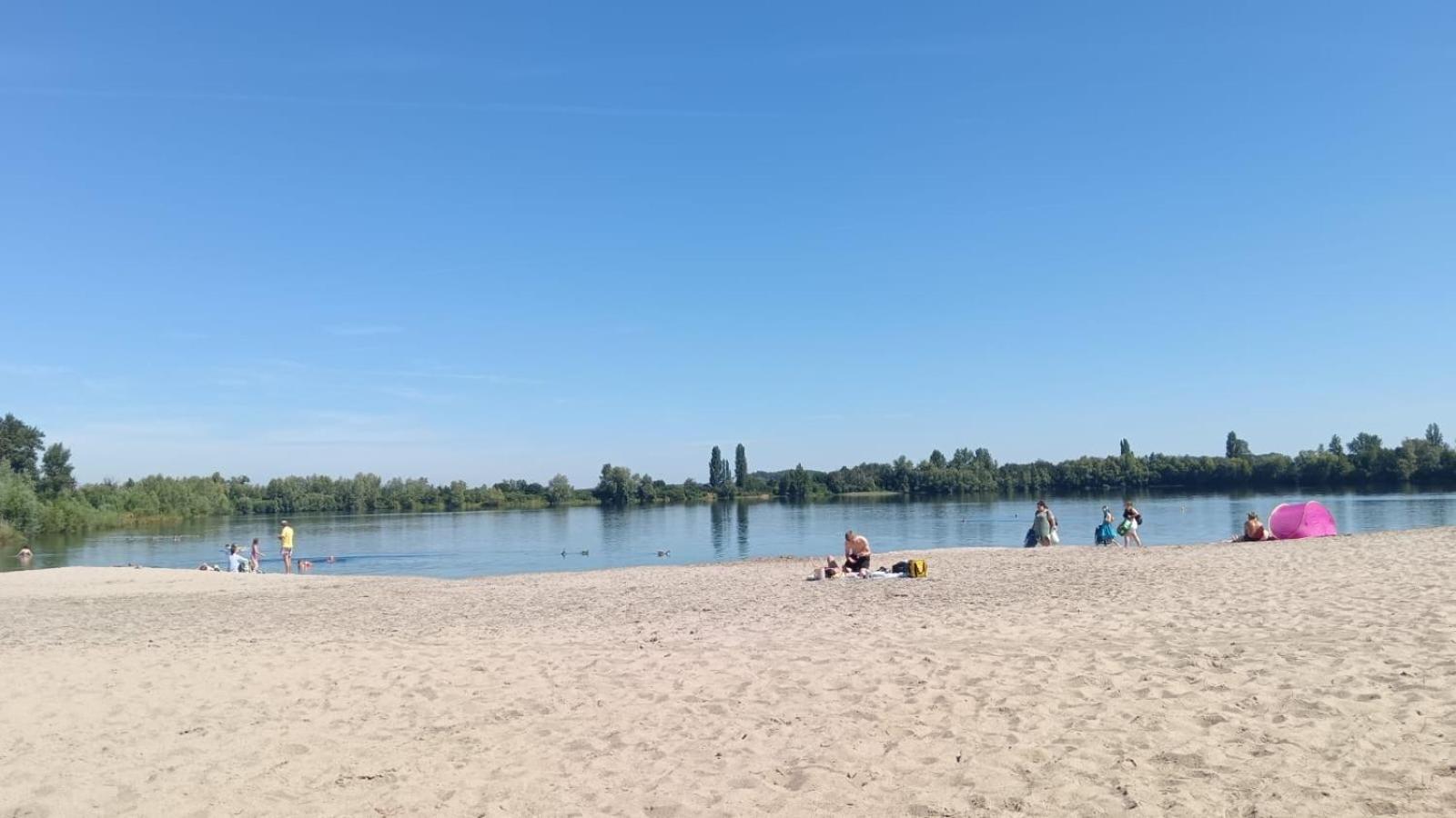 Moderne, Stilvolle Ferienwohnung In Eich Eich  المظهر الخارجي الصورة